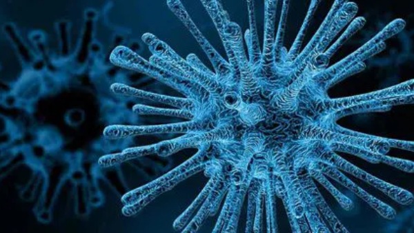 முன்பு வந்த தகவல் என்ன? 