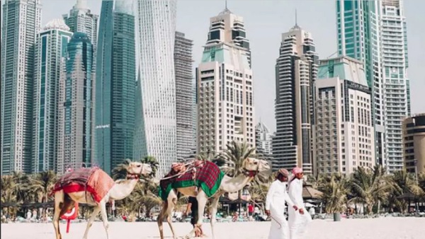  என்ன வேண்டும்? 