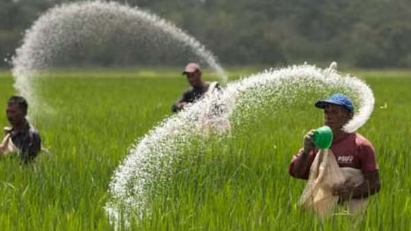 சாதி விவரம்