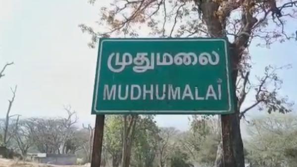 2017ம் ஆண்டு - 2017ம் ஆண்டு -