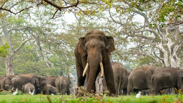  என்ன செய்ய வேண்டும்