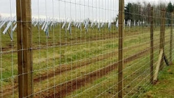 மின்வேலி