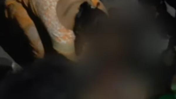 விரட்டி விரட்டி.. 