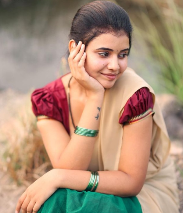 சீரியலில் அறிமுகம்