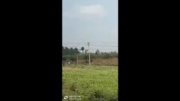  3 யானைகள் 