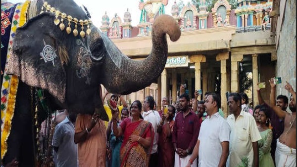 8 ஆண்டுகள் 