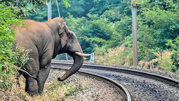 மதுக்கரை 