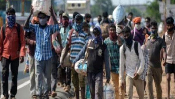  நடவடிக்கை