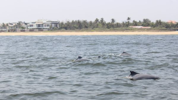 நல்ல விஷயம் நல்ல விஷயம்