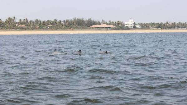 ஈஞ்சம்பாக்கம் ஈஞ்சம்பாக்கம்