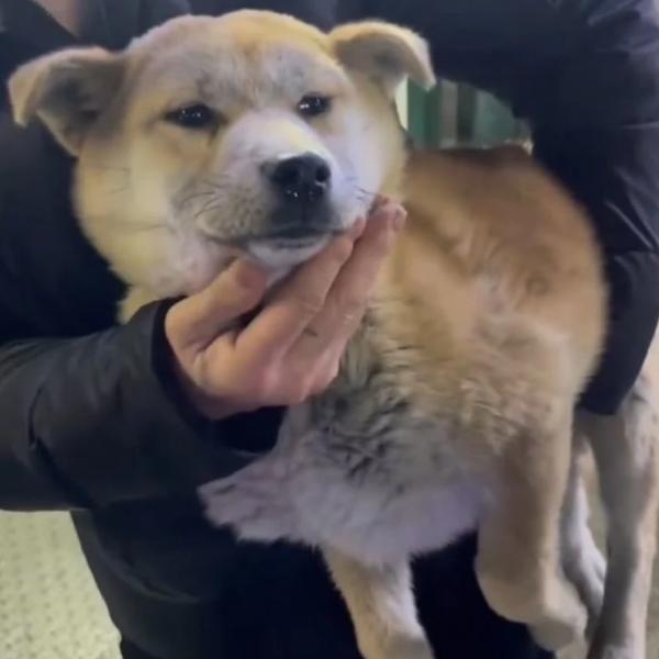 சைக்கோ பேர்வழி சைக்கோ பேர்வழி