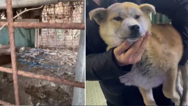 அலறி ஓட்டம் அலறி ஓட்டம்