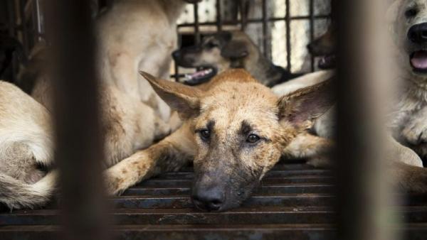 அட்டை பெட்டிகள் அட்டை பெட்டிகள்