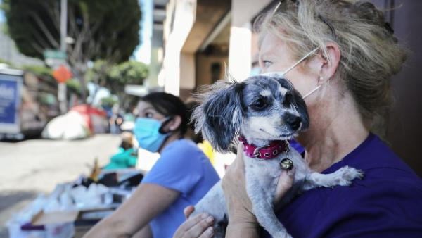 வேக்சின்