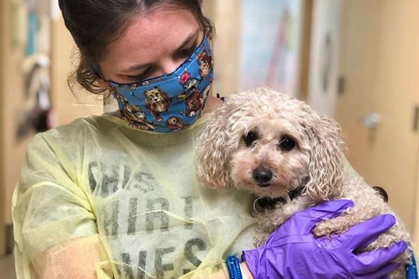  எப்படிப் பரவும்