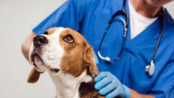  நுரையீரல் புண்கள்