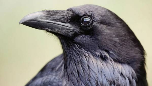 விவசாயிகள் கருத்து 