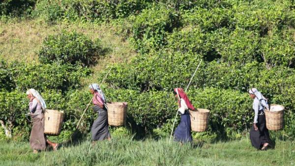 Indian origin in Sri Lanka demands to identity with new Nationality Indian origin in Sri Lanka demands to identity with new Nationality