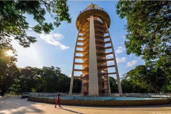 ‛டவர்’ பூங்கா 