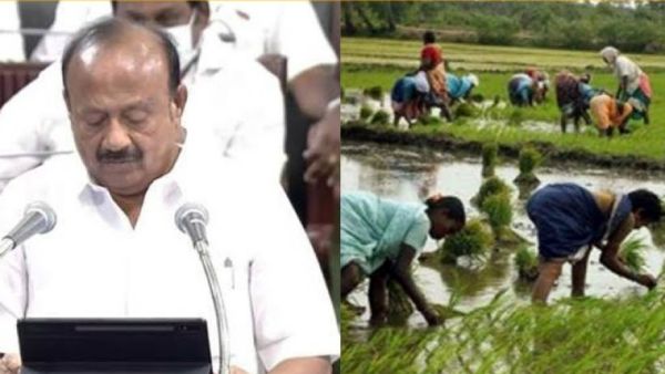 விவசாயிகளுக்கு நம்பிக்கை அளிக்கும் விவசாயிகளுக்கு நம்பிக்கை அளிக்கும்