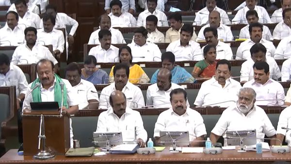 தென்னை வளர்ச்சி மேம்பாடு 