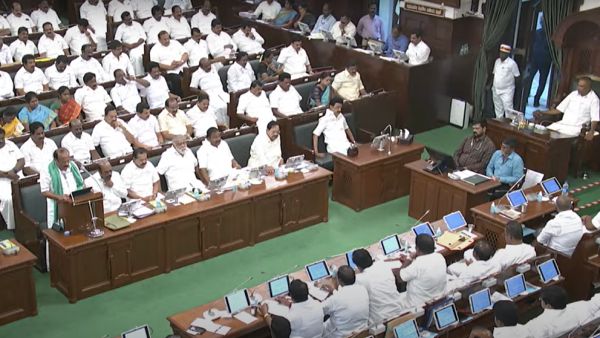 2,500 எக்டர் பரப்பளவில் பலா சாகுபடி 