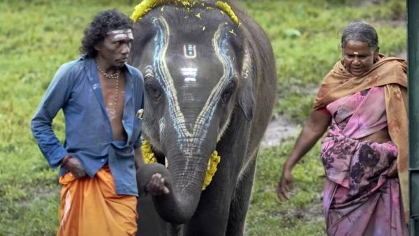 கார்த்திகி கொன்சால்வ்ஸ் கார்த்திகி கொன்சால்வ்ஸ்