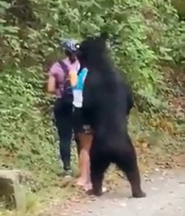 பொறுமை பொறுமை பொறுமை பொறுமை