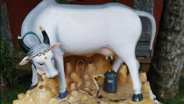 காமதேனு பொம்மை காமதேனு பொம்மை