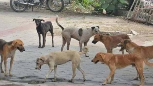 எப்படி எப்படி