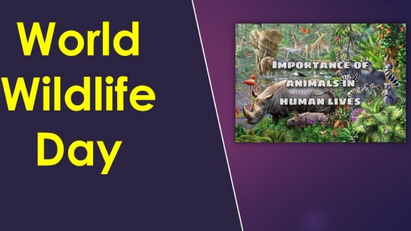 வியாபார நோக்கத்திற்காக 