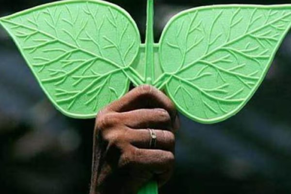 சின்னம் கிடைத்தது 