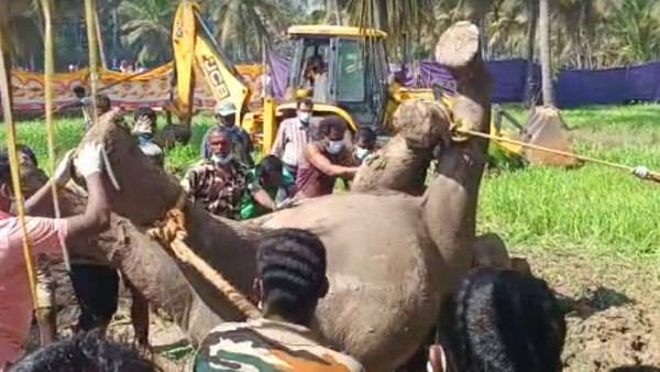 விசாரணை 