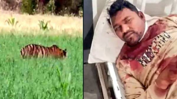 அதிகாரி விளக்கம் 