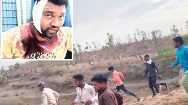 புலியை சீண்டியதால் கடித்தது 