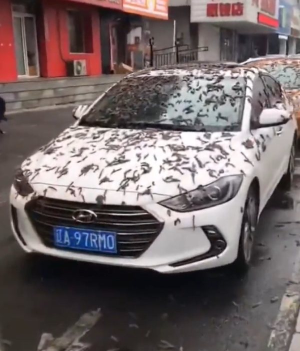 என்ன நடந்து இருக்கலாம்? 