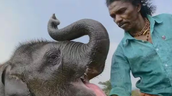 மேய்ச்சலுக்கு சென்றால் சாப்பாடு 