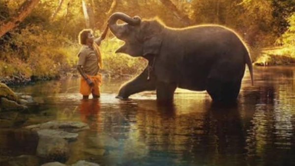 இரு குட்டி யானைகள் இரு குட்டி யானைகள்