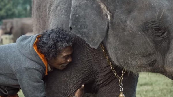 கிருஷ்ணகிரி 