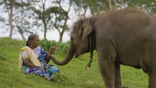 2 யானை குட்டி 