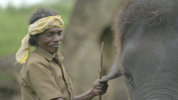  சினிமா ஷூட்டிங் 