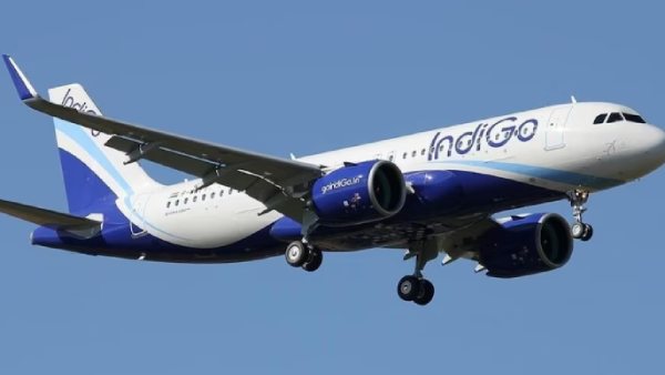 இண்டிகோ