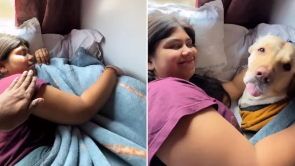 நெட்டிசன்கள் கலகல கருத்து 