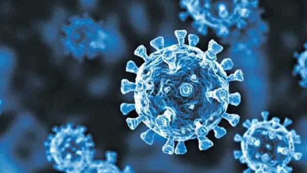  எக்ஸ்பிபி 1.16 வகை வைரஸ் 