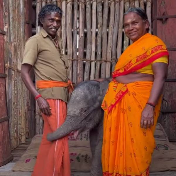 விமான பயணம் 