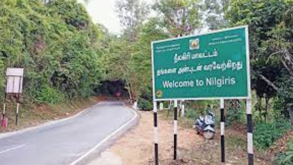 நீலகிரி