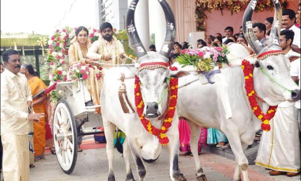 திருமண ஜோடி திருமண ஜோடி