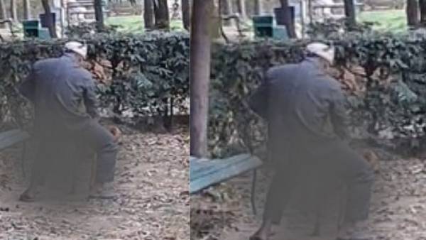 மிருக வதைகள் மிருக வதைகள்