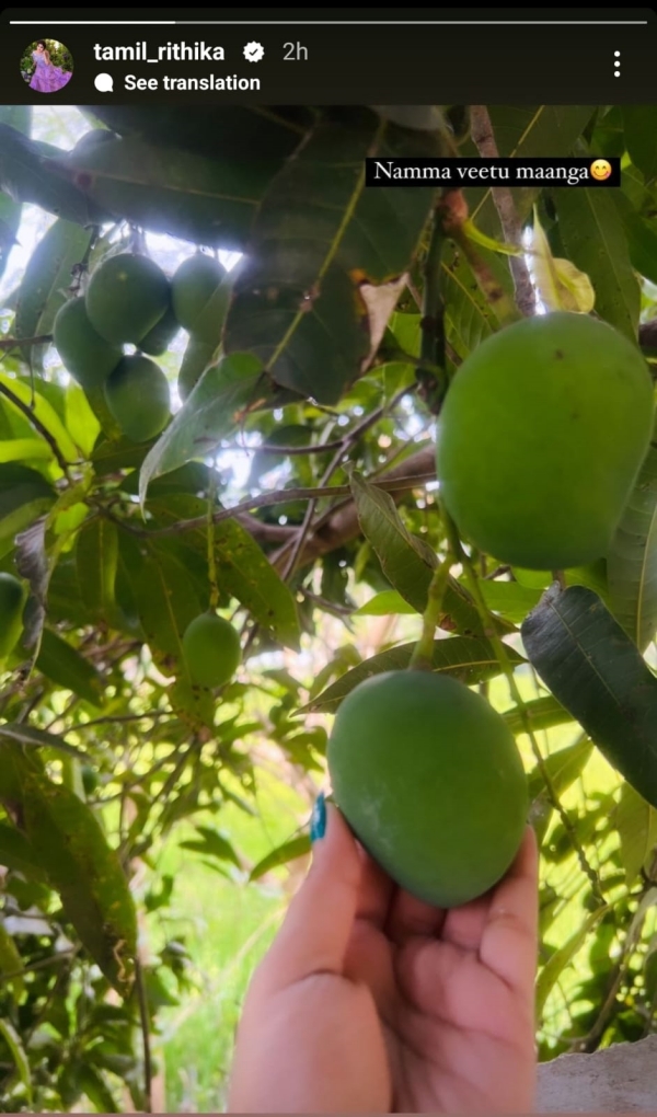 மாங்காய் புகைப்படம்