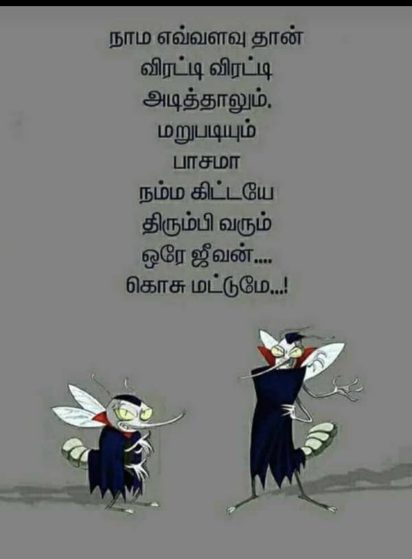 Funny memes collection on Mosquito 15-014-2023